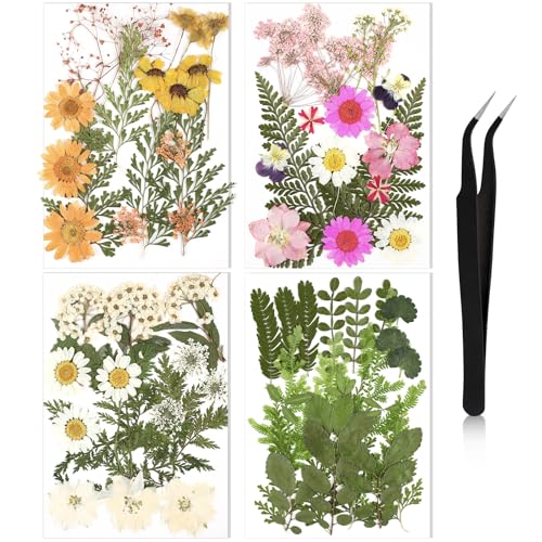 Nuanchu Pressed Flowers Bulk Dried Flower for Crafts, Dried Flower Leave Natural with Tweezer for Resin Mold Scrapbooking DIY (Fresh Style)