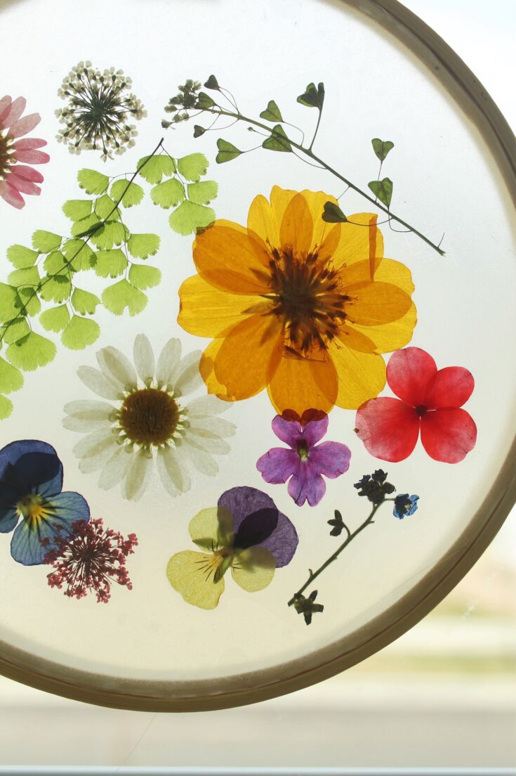 DIY Pressed Flower Suncatcher Tutorial